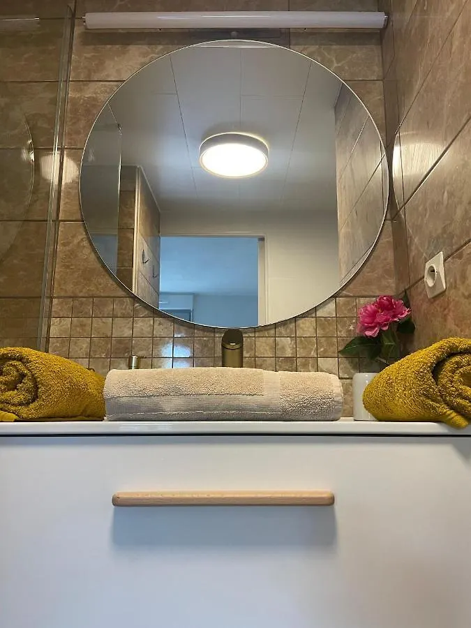 Appartement Studio Avec Terrasse - Piscine - Free Parking à Toulouse France