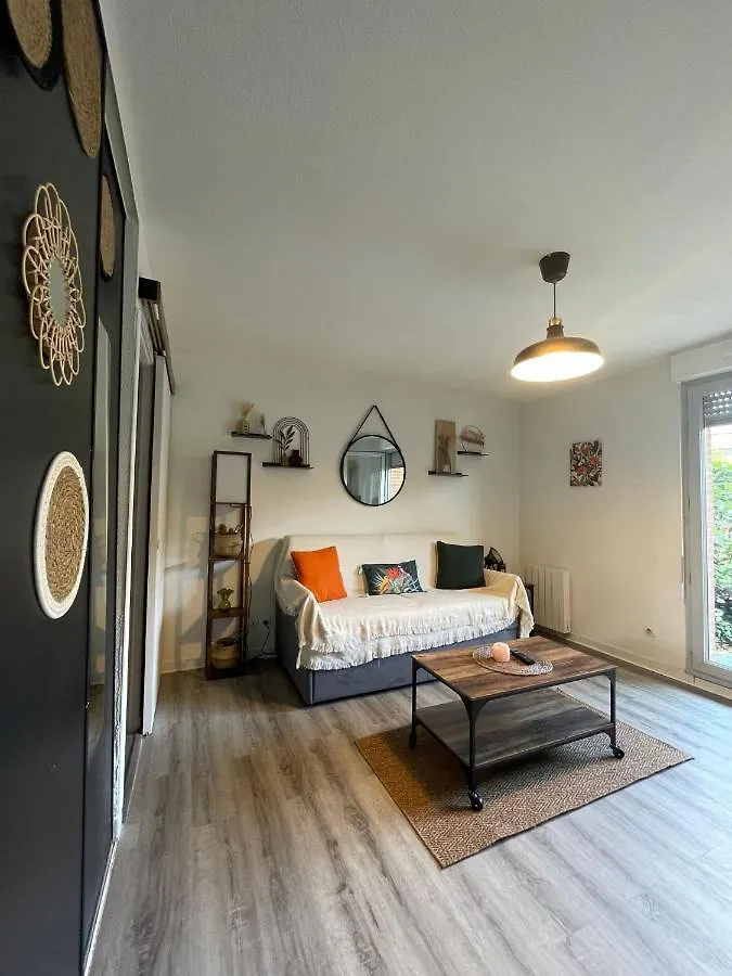 Appartement Studio Avec Terrasse - Piscine - Free Parking à Toulouse France