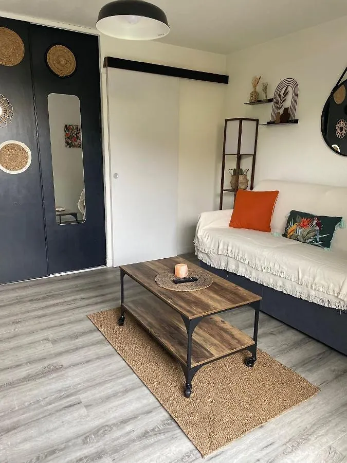 Appartement Studio Avec Terrasse - Piscine - Free Parking à Toulouse France